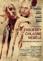 Проблеск в холодном воскресенье / Cold Sunday (2012)