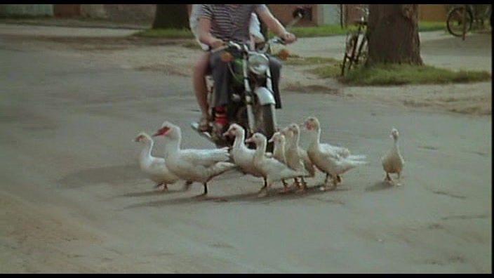 Кадр из фильма Семь веснушек / Sieben Sommersprossen (1978)