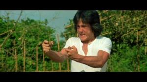 Кадры из фильма Пьяный мастер / Jui kuen (1978)