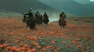 Кадры из фильма Любовь моя, печаль моя (1978)