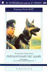 Пограничный Пёс Алый (1979)