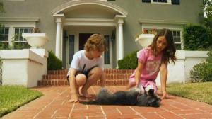 Кадры из фильма Пес-купидон / Gabe the Cupid Dog (2012)
