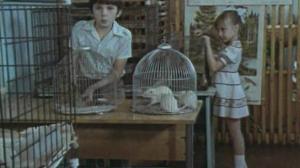 Кадры из фильма Капитан Соври-голова (1979)