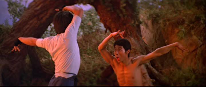 Кадр из фильма Боец в стиле обезьяны / Feng hou (1979)