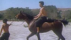 Кадры из фильма Цыган. Возвращение Будулая (1979)