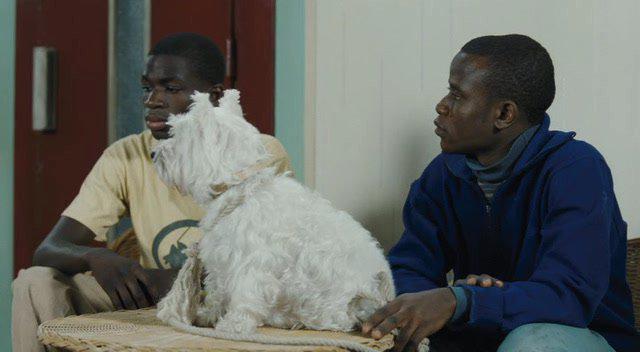 Кадр из фильма Фея / La fée (2011)