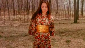 Кадры из фильма Смертельный поединок мастеров кунг-фу / He xing dao shou tang lang tui (1979)