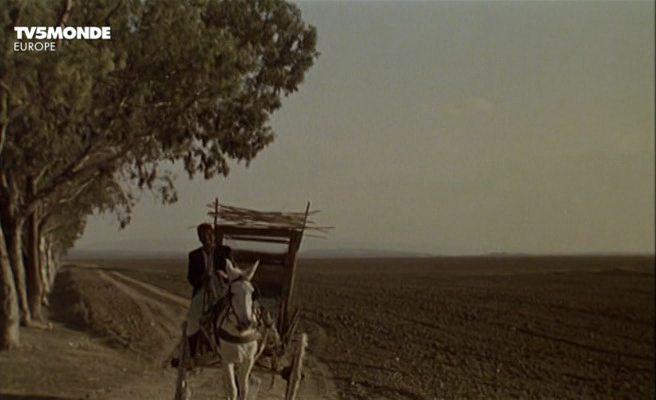 Кадр из фильма Порыв сирокко / Le coup de sirocco (1979)