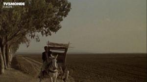 Кадры из фильма Порыв сирокко / Le coup de sirocco (1979)