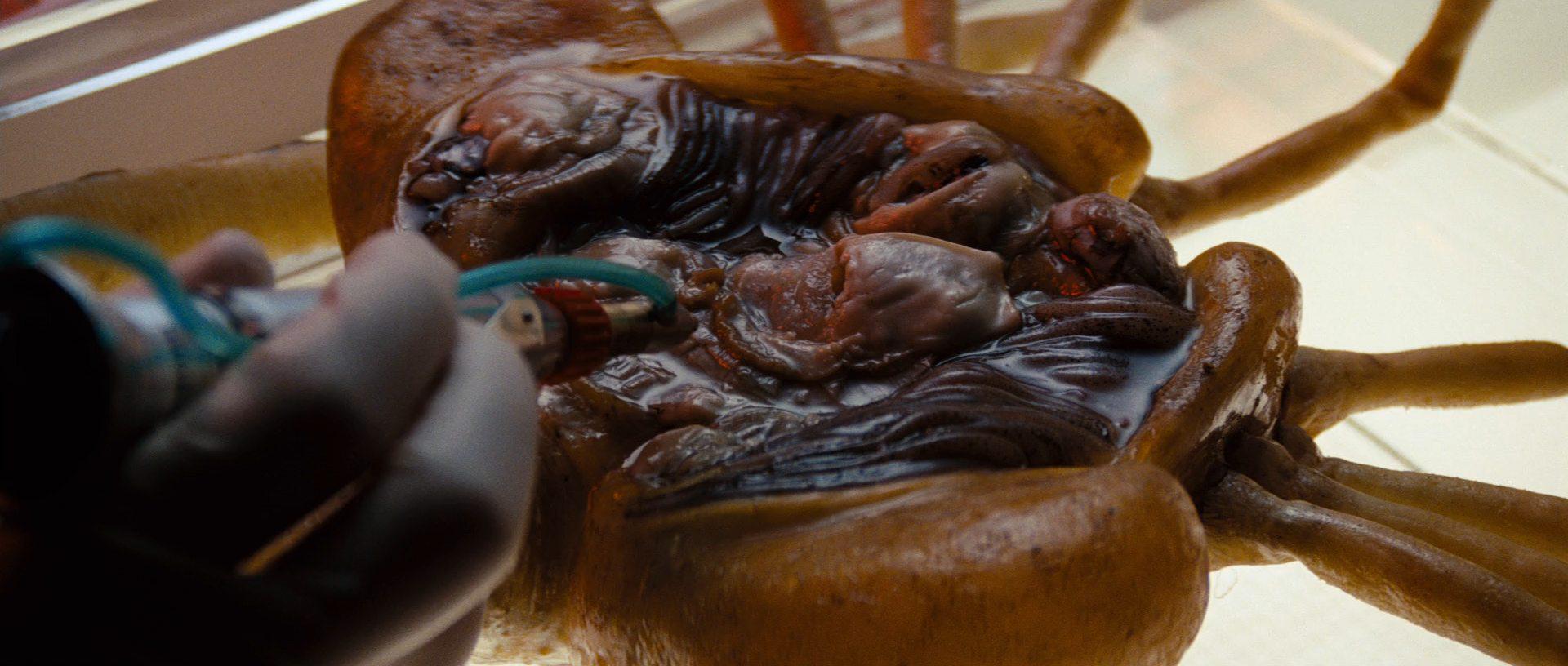 Кадр из фильма Чужой / Alien (1979)