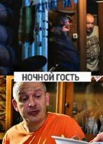 Ночной гость (2011)