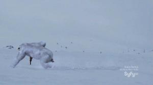 Кадры из фильма Гнев Йети / Rage of the Yeti (2011)