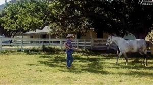 Кадры из фильма Северный Даллас Сорок / North Dallas Forty (1979)