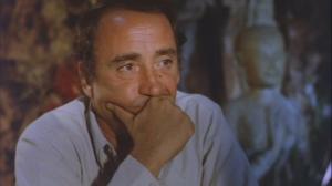 Кадры из фильма Война полиций / La guerre des polices (1979)