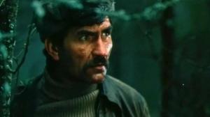 Кадры из фильма Жду и надеюсь (1980)