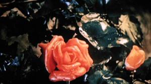 Кадры из фильма Всадник на золотом коне (1980)