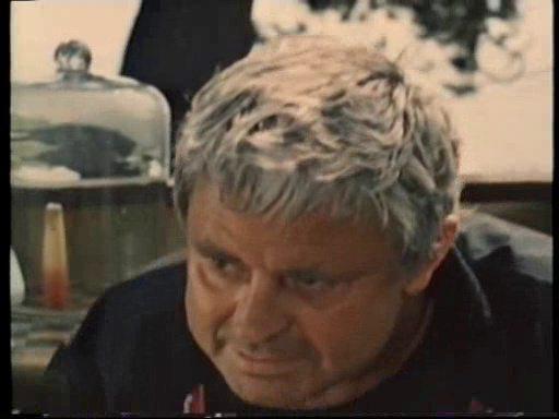 Кадр из фильма Зеленая куколка (1980)