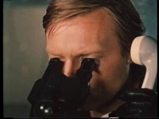 Кадр из фильма Зеленая куколка (1980)