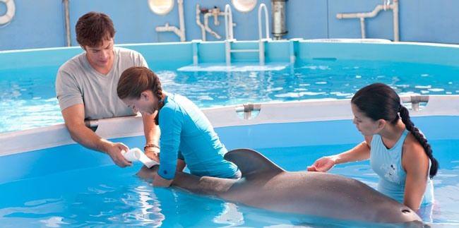 Кадр из фильма История дельфина / Dolphin Tale (2011)