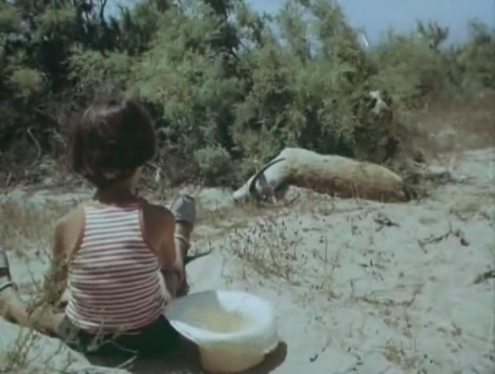 Кадр из фильма Только остров не возьмешь с собой... (1980)
