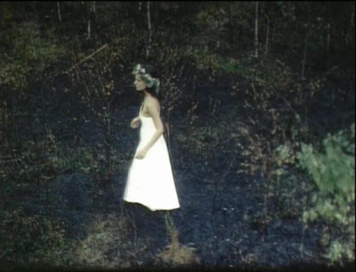 Кадр из фильма Лесная песня. Мавка / Лісова пісня. Мавка (1980)