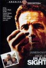 Скрой у всех на виду / Hide in Plain Sight (1980)