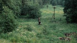 Кадры из фильма Сталкер (1980)