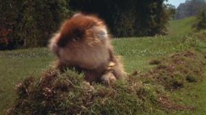 Кадры из фильма Гольф-клуб / Caddyshack (1980)