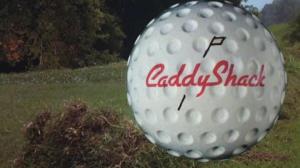 Кадры из фильма Гольф-клуб / Caddyshack (1980)