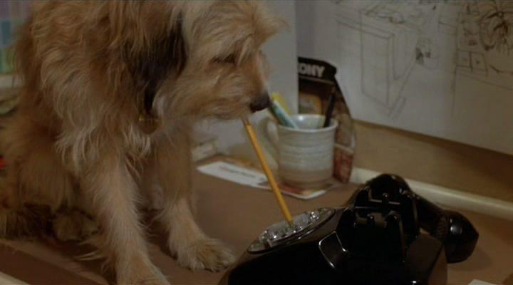 Кадр из фильма О, божественный пес / Oh Heavenly Dog (1980)
