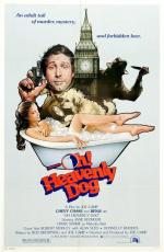 О, божественный пес / Oh Heavenly Dog (1980)