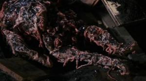 Кадры из фильма Город живых мертвецов / City of the Living Dead (1980)