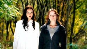 Кадры из фильма Дневники мотылька / The Moth Diaries (2011)