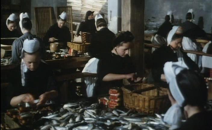 Кадр из фильма Конь гордыни / Le cheval d'orgueil (1980)