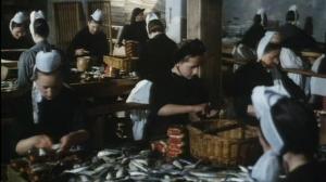 Кадры из фильма Конь гордыни / Le cheval d'orgueil (1980)