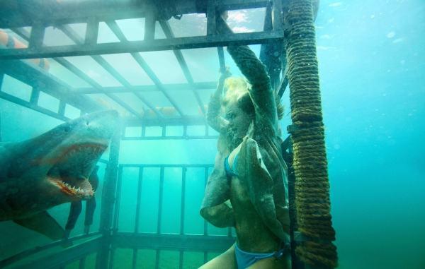 Кадр из фильма Челюсти 3D / Shark Night 3D (2011)