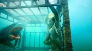 Кадры из фильма Челюсти 3D / Shark Night 3D (2011)