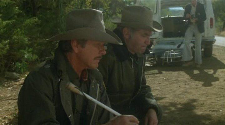 Кадр из фильма Пограничная полоса / Borderline (1980)