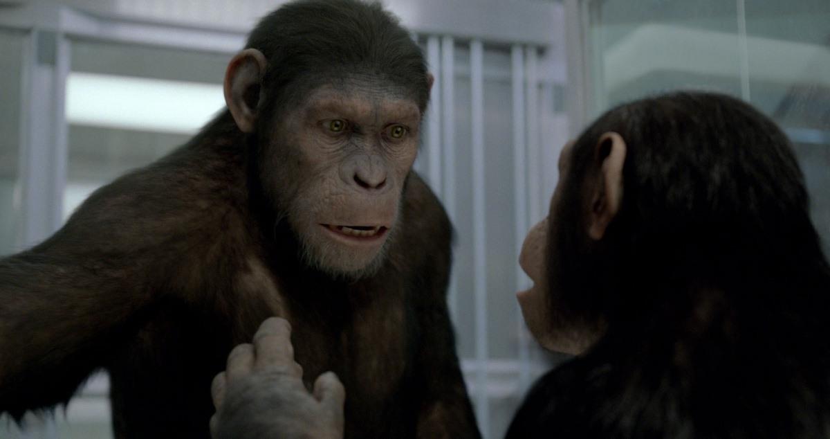 Кадр из фильма Восстание планеты обезьян / Rise of the Planet of the Apes (2011)