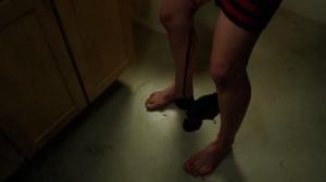 Кадры из фильма Плодородная почва / Fertile Ground (2011)