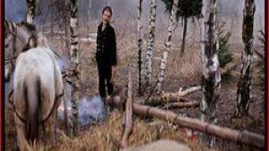 Кадры из фильма Хлеб, золото, наган (1981)