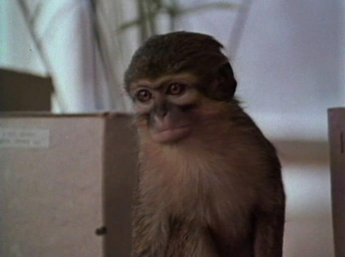 Кадр из фильма Руки вверх! (1981)