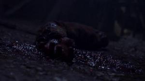 Кадры из фильма Тысячелетний жук / The Millennium Bug (2011)