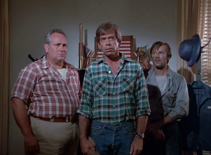 Кадр из фильма Темная ночь пугала / Dark Night of the Scarecrow (1981)