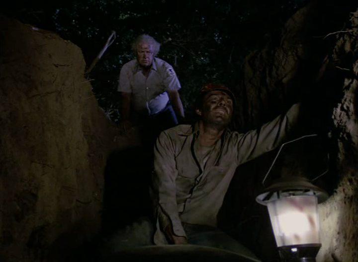 Кадр из фильма Темная ночь пугала / Dark Night of the Scarecrow (1981)