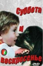 Суббота и воскресенье (1982)