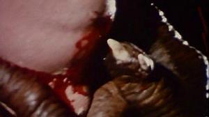 Кадры из фильма Ночной зверь / Nightbeast (1982)