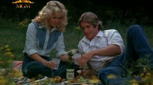 Кадры из фильма Гуляю с кем хочу / Foxfire Light (1982)