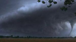 Кадры из фильма Укрытие / Take Shelter (2011)