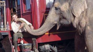 Кадры из фильма Воды слонам! / Water for Elephants (2011)